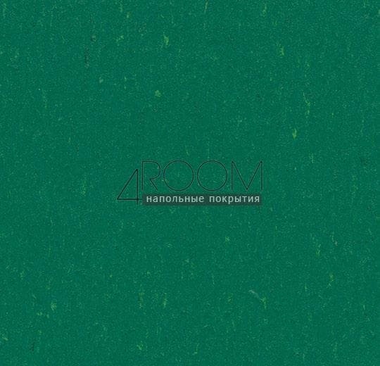 Натуральный линолеум Marmoleum Solid Piano (Мармолеум Пиано) 3649/364935 greenwood