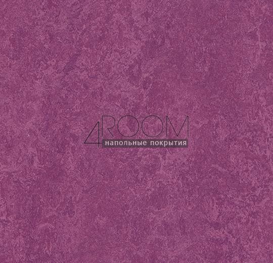 Натуральный линолеум Marmoleum Modular Colour (Мармолеум Модулар Колор)t3245 summer pudding