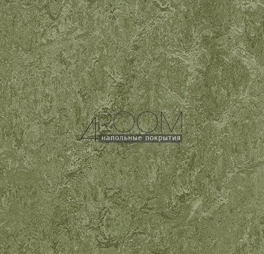 Натуральный линолеум Marmoleum Modular Colour (Мармолеум Модулар Колор)t3255 pine forest